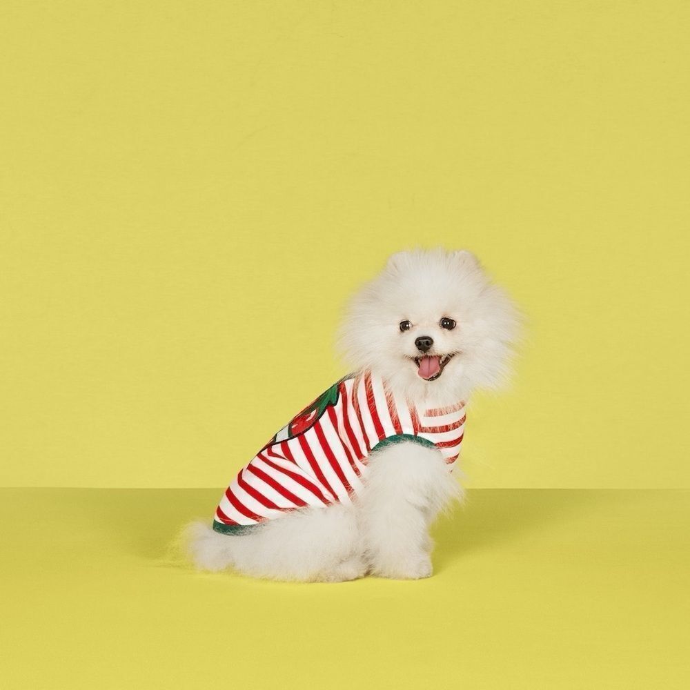 Brand new with tags Striped Red and White Dog Sweater size m